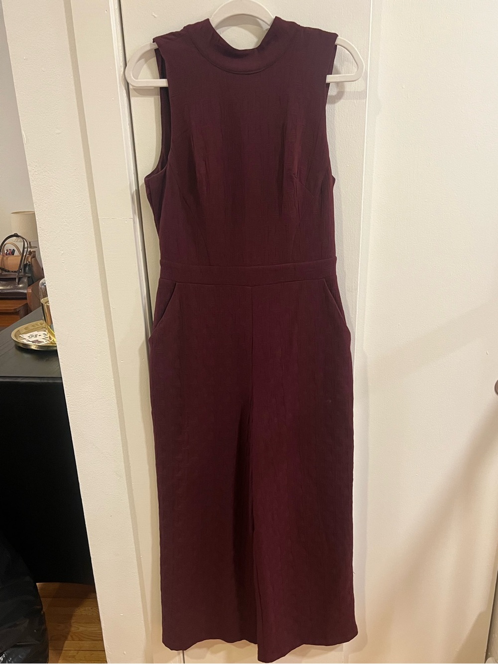 Eva Franco Sleeveless Wide-Leg Jumpsuit in Burgundy